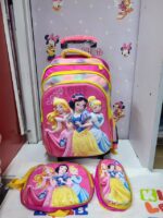 3 in 1 Trolley bags