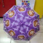 Themed umbrellas