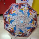 Themed umbrellas - Image 10